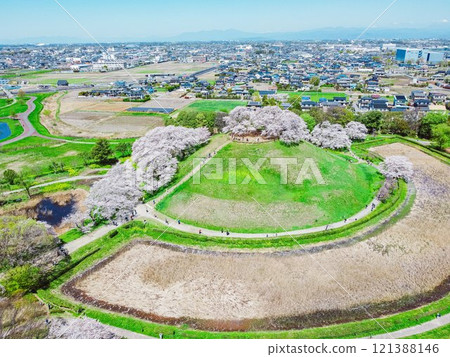 Ancient tombs and cherry blossoms at Sakitama Kofun Park in Gyoda City Ancient tombs and cherry blossoms at Sakitama Kofun Park in Gyoda City 121388146