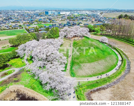 Ancient tombs and cherry blossoms at Sakitama Kofun Park in Gyoda City Ancient tombs and cherry blossoms at Sakitama Kofun Park in Gyoda City 121388147