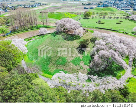 Ancient tombs and cherry blossoms at Sakitama Kofun Park in Gyoda City Ancient tombs and cherry blossoms at Sakitama Kofun Park in Gyoda City 121388148