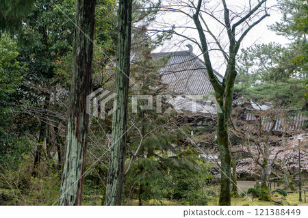 Toshodaiji寺 Toshodaiji寺 121388449