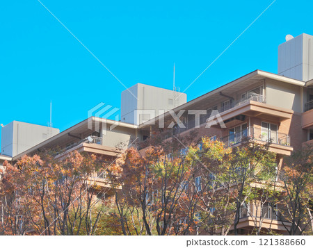 Luxury apartment building in Hiroo during autumn foliage season Cityscape (December 2024) 121388660