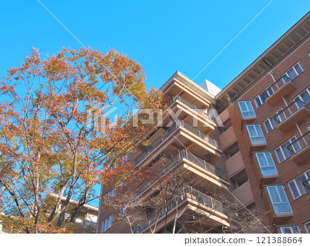 Luxury apartment building in Hiroo during autumn foliage season Cityscape (December 2024) 121388664