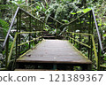 Walking along a boardwalk in the forest 121389367