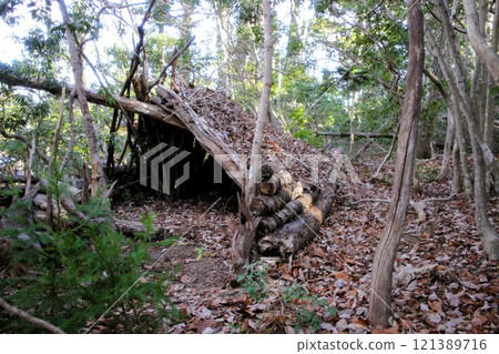 Debris Hut Camp 121389716