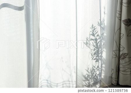 蕾絲窗簾上橄欖樹的影子 蕾絲窗簾上橄欖樹的影子 121389736