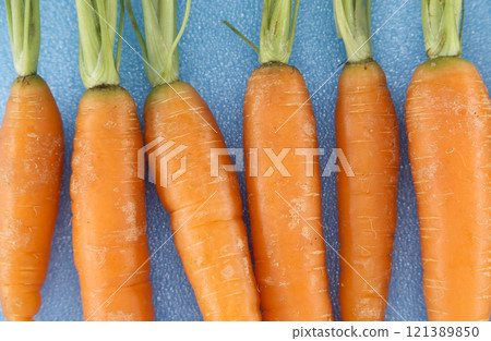 Fresh Orange Carrots on a Blue Background Highlighting Organic Produce Quality Fresh Orange Carrots on a Blue Background Highlighting Organic Produce Quality 121389850