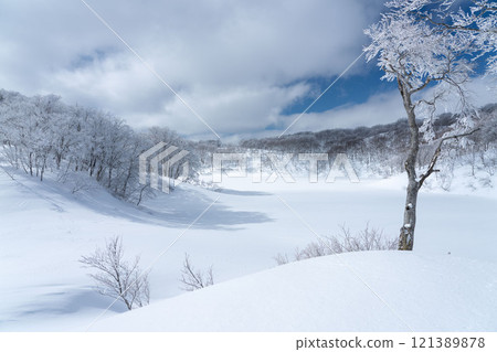 Scenery of snowy field 121389878