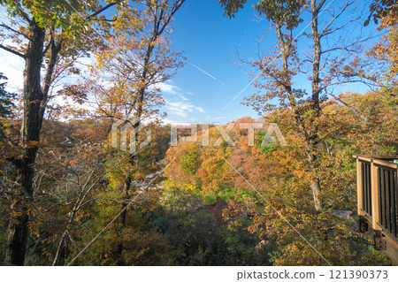 Autumn foliage in Noyamakita, Rokudoyama Park, a view from the observation deck in Adventure Forest 121390373