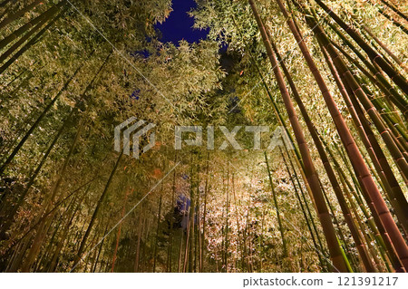 點亮京都嵐山竹林之路 點亮京都嵐山竹林之路 121391217