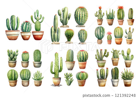 Cactus Collection Watercolor Collection Bundle Set Isolated on a Transparent Background 121392248