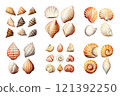 Seashell Collection Watercolor Collection Bundle Set Isolated on a Transparent Background 121392250