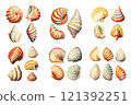 Seashell Collection Watercolor Collection Bundle Set Isolated on a Transparent Background 121392251