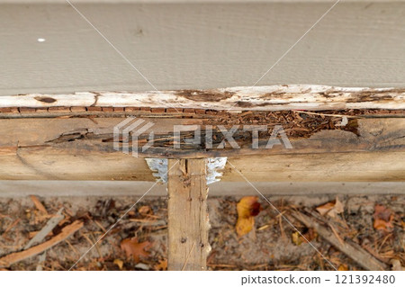 Deck Ledger Board Incorrectly Installed over Wood Siding has led to Extensive Dry Rot and Damage Deck Ledger Board Incorrectly Installed over Wood Siding has led to Extensive Dry Rot and Damage 121392480