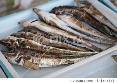Atsuta Port Morning Market Fish Atsuta Port Morning Market Fish 121393151