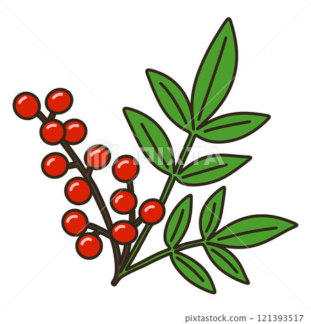 南天竹 南天竹 121393517