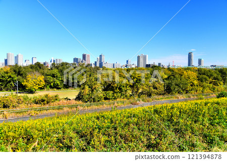Looking across the Arakawa River toward Kawaguchi Station from near Akabane Golf Club [November 2024] 121394878