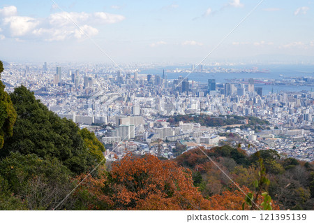 從神戶六甲山高取山眺望紅葉的神戶市景（2024年12月拍攝） 121395139