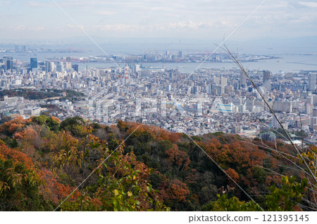 Autumn foliage in downtown Kobe as seen from Mount Takatori in the Kobe-Rokko mountain range (photographed in December 2024) 121395145