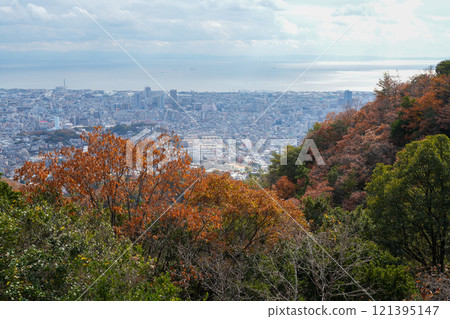 從神戶六甲山高取山眺望紅葉的神戶市景（2024年12月拍攝） 121395147