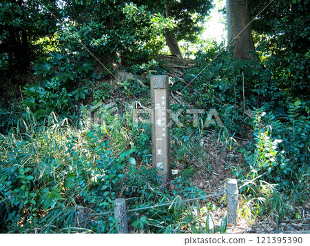 [Signs of the 53 Stations of the Tokaido] Kanagawa Prefecture, Totsuka-shuku, Shinano Ichirizuka (2018) 121395390