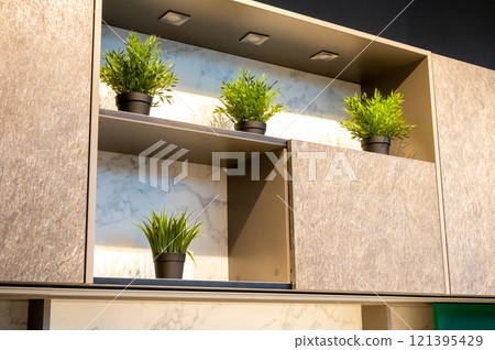 Modern Kitchen Cabinet with Artificial Green Plants Decoration Modern Kitchen Cabinet with Artificial Green Plants Decoration 121395429