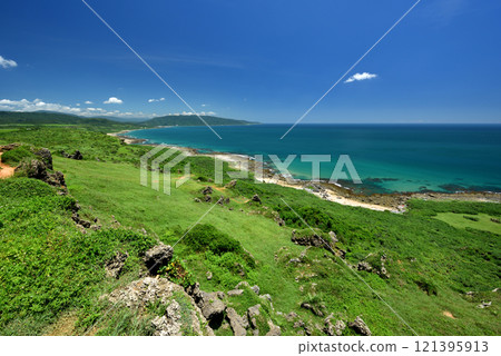 View of green lawn growing along coastline and blue ocean sky View of green lawn growing along coastline and blue ocean sky 121395913