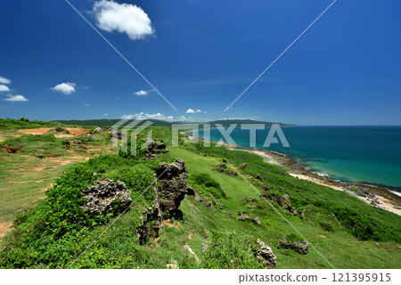 海岸線生長的綠色草坪和蔚藍海洋天空景色 海岸線生長的綠色草坪和蔚藍海洋天空景色 121395915