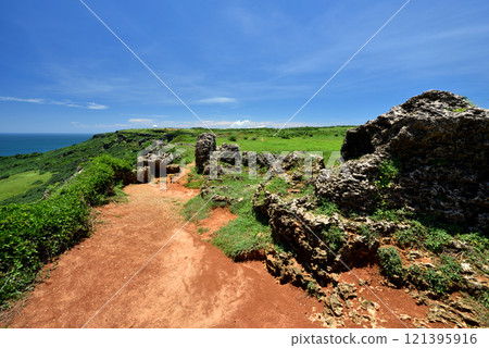 View of green lawn growing along coastline and blue ocean sky 121395916