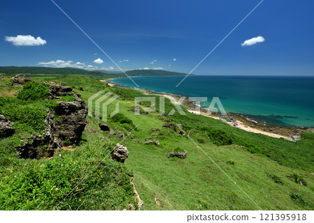 海岸線生長的綠色草坪和蔚藍海洋天空景色 121395918