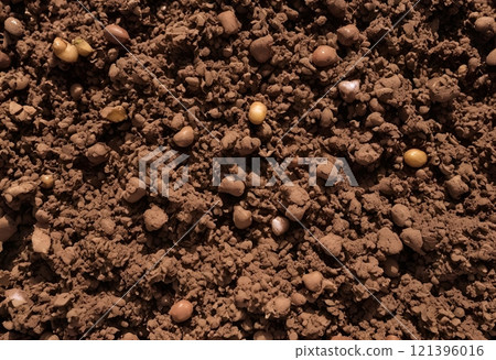 Loamy soil ideal for cultivation and promoting healthy plant growth.AI Generated Loamy soil ideal for cultivation and promoting healthy plant growth.AI Generated 121396016