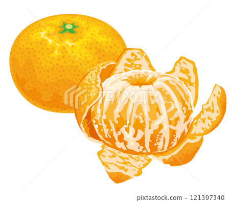 Mandarin orange  121397340