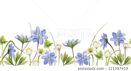 Spring ephemera flowers, white forest anemone primrose bloodroot, blue hepatica forget-me-not flax, grass, hand drawn in watercolor. Seamless banner illustration, for wedding, florist shop, stationery 121397419