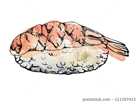 Traditional Japanese food, nigiri sushi shrimp raw fish tuna salmon, caviar topping, wasabi, unagi flakes, hand drawn in watercolor, ink. Illustration for restaurant, cafe menu, kitchen, recipe book 121397423