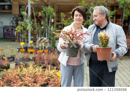 Elderly man and woman buying young barberry plants in a plant store 121398086