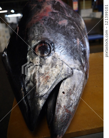 金槍魚的熊 金槍魚的熊 121399101