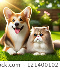 Corgi dog and exotic shorthair cat sleeping in the garden 121400102