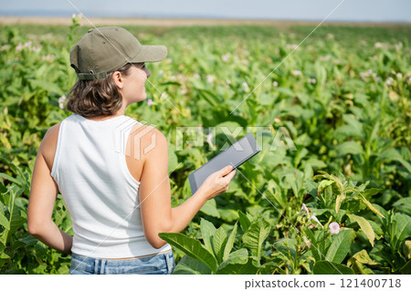 Female farmer with digital tablet on a tobacco field 121400718