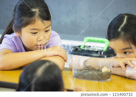 小學生觀察昆蟲籠 121400732