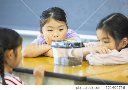 小學生觀察昆蟲籠 121400736
