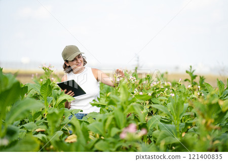 Female farmer with digital tablet on a tobacco field 121400835