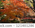 公園的秋葉 121401286