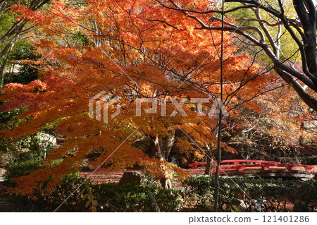 公園的秋葉 公園的秋葉 121401286