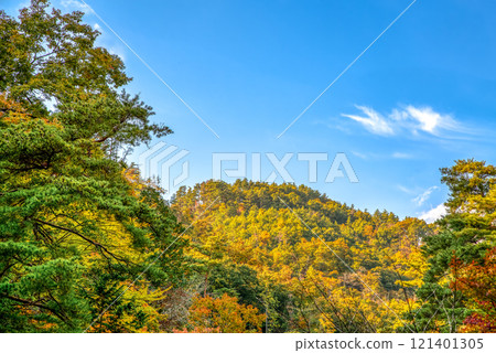 山梨縣秋葉禦岳莊山峽 121401305