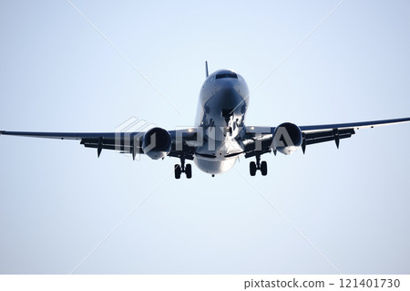 噴氣式飛機降落 121401730