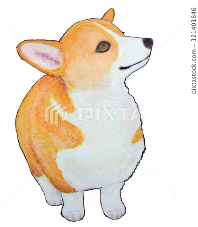 柯基犬小狗抬頭 121401846