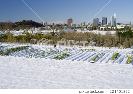 三沼雪景 121401852