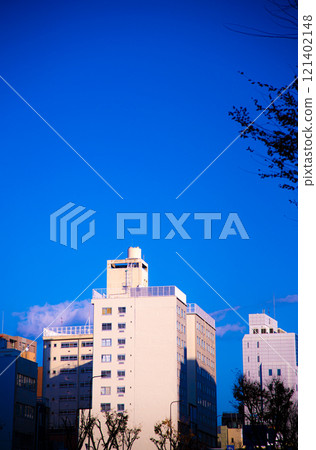 Mansion in the blue sky 121402148