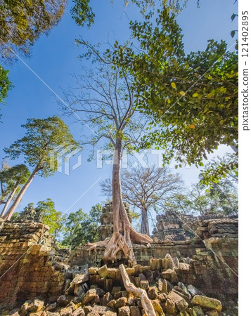 Ta Prohm Wat temple in Angkor, Cambodia 121402895