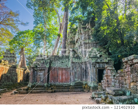 Ta Prohm Wat temple in Angkor, Cambodia 121402910