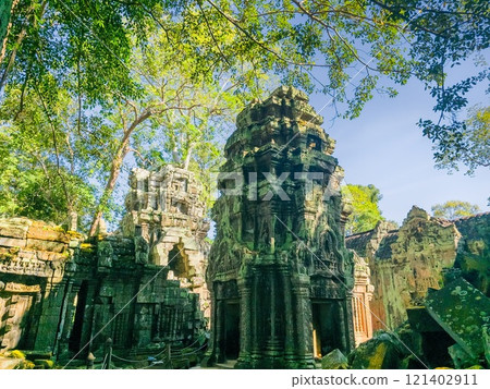 Ta Prohm Wat temple in Angkor, Cambodia Ta Prohm Wat temple in Angkor, Cambodia 121402911
